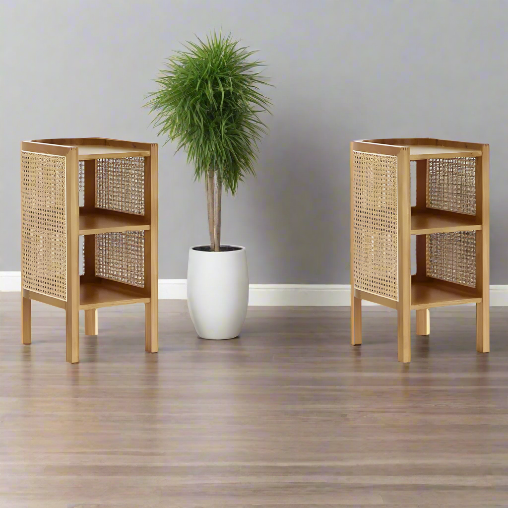 Furnishiaa Natural Rattan Bedside End Table with 2 Shelf Storage, Set of 2, Natural Cane