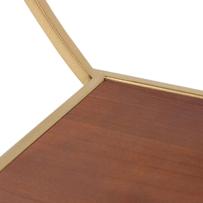 Iron and Solid Sheesham Wood 2 Piece Accent Shelf - Furnishiaa -  - 