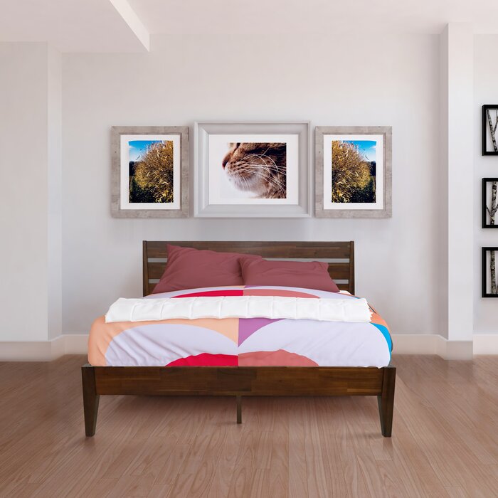 Solid Wood Bed for Bedroom and Kids Room - Furnishiaa -  - 