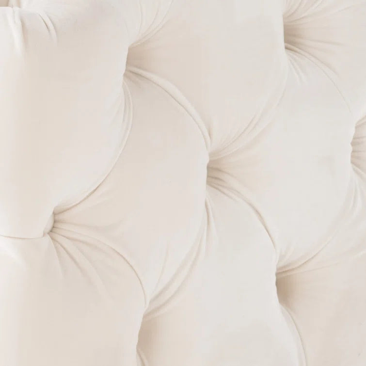 Furnishiaa Elegant Tufted Ottoman Bench