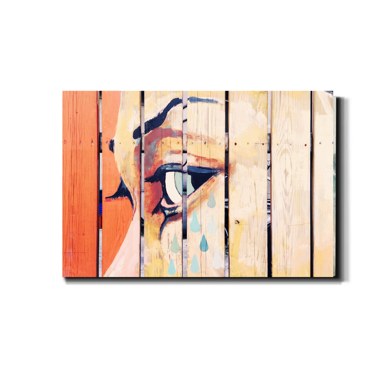 Eye Art Wrapped Canvas Wall Painting for Home
